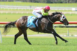 Mezeray Miss makes it back to back wins with a city victory at Sandown Mezeray Miss makes it back to back wins with a city victory at Sandown